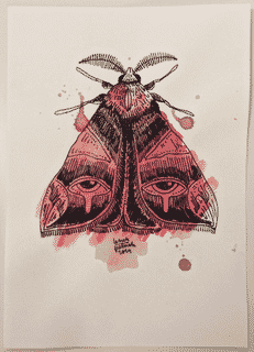 moth-1-2014-poor-quality-photo